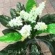 ГОЛЯМО САКСИЙНО ИЗКУСТВЕНО РАСТЕНИЕ 90см 05 бял цвят