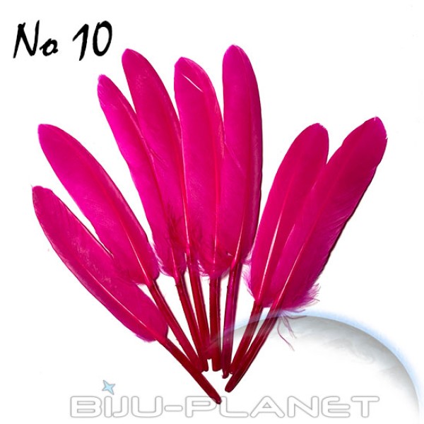 ПЕРА ЗА ДЕКОРАЦИЯ ПАКЕТ - 20БР. No 10