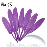 ПЕРА ЗА ДЕКОРАЦИЯ ПАКЕТ - 20БР. No 15